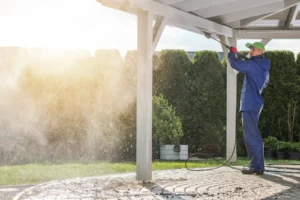 The Benefits of Professional Roof Cleaning in Johns Creek